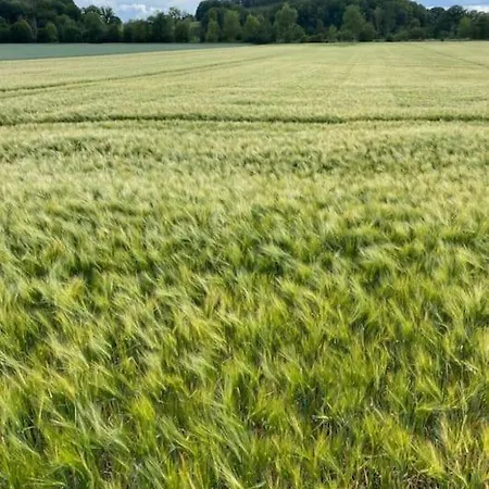 Du Rond Du Roi Villa *