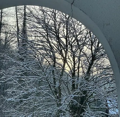 Villa Du Rond Du Roi *