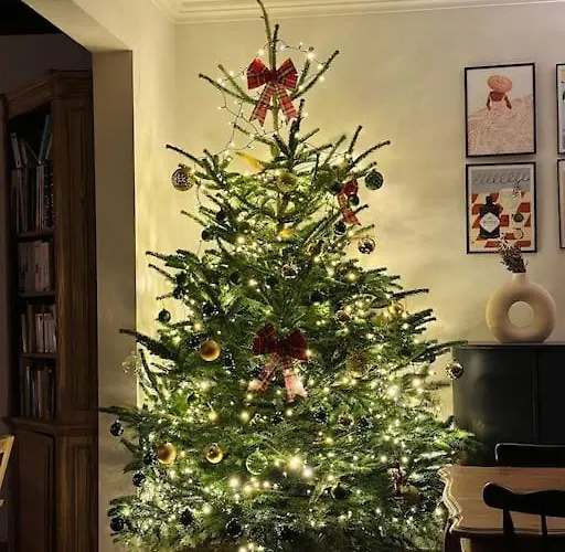 Du Rond Du Roi Villa Rochefort